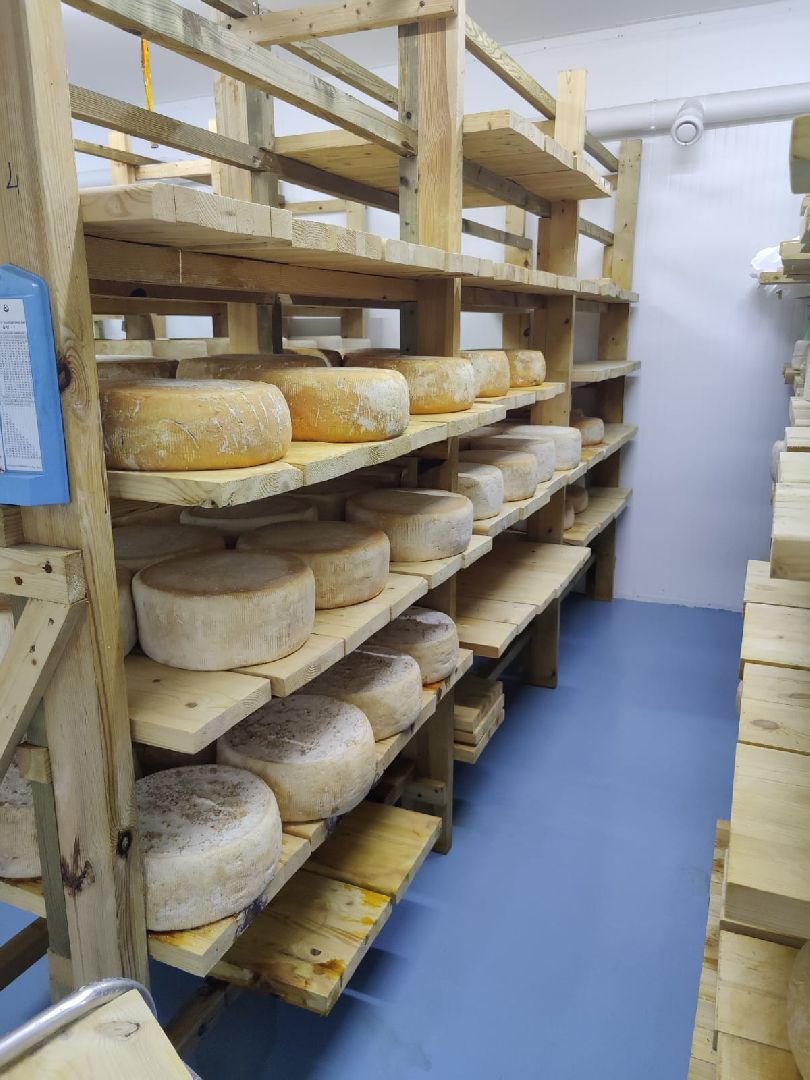 фермерство, господдержка,