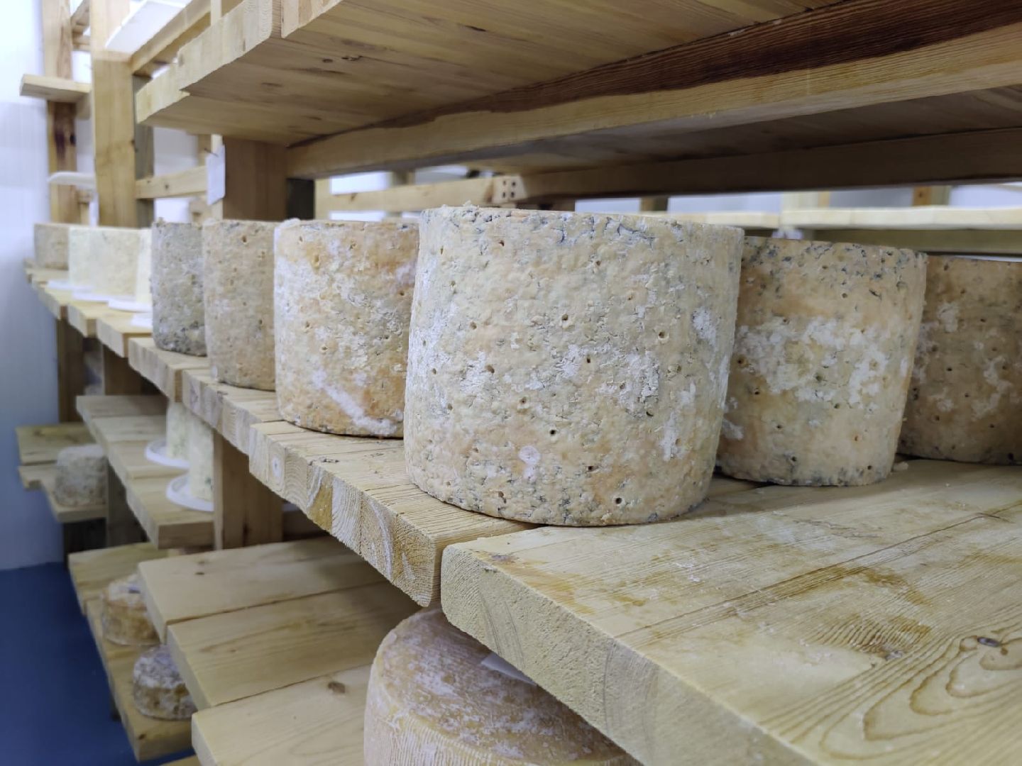 фермерство, господдержка,