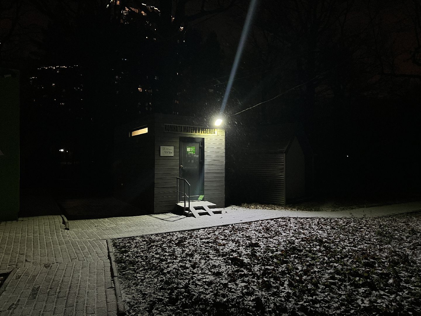 химки, парк, благоустройство, парк Толстого, освещение,