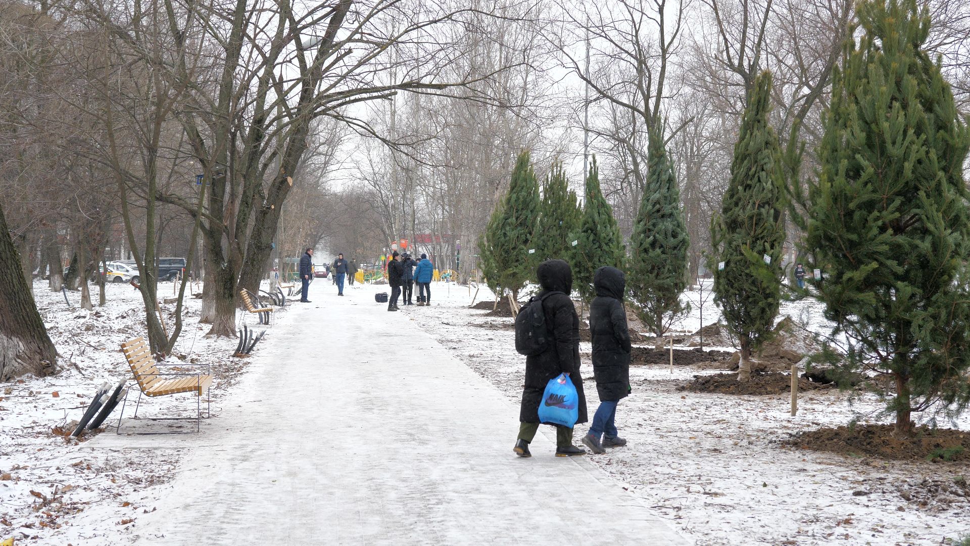 Реутов, благоустройство, деревья, сосны, посадка, зима,