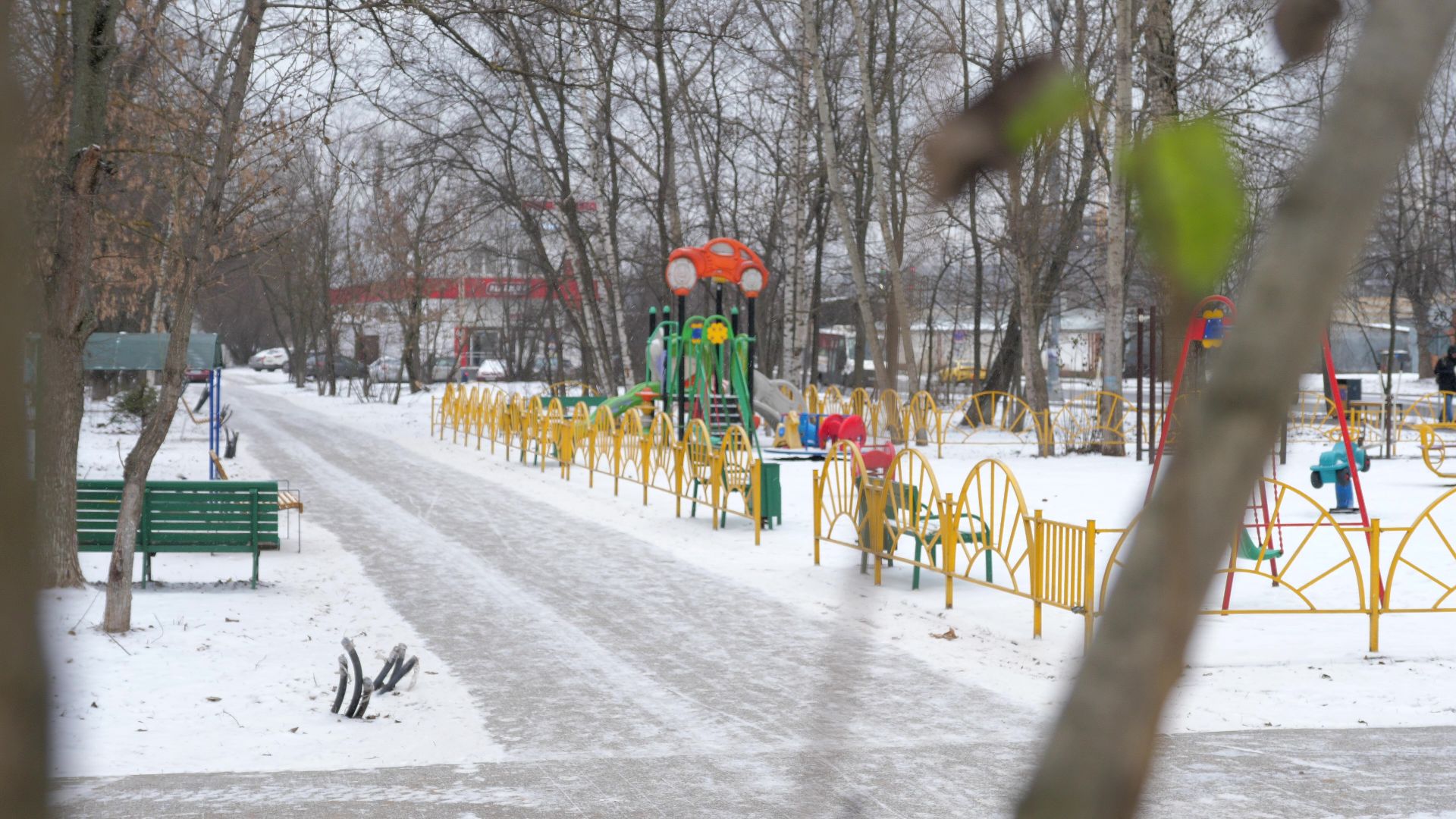 Реутов, благоустройство, деревья, сосны, посадка, зима,