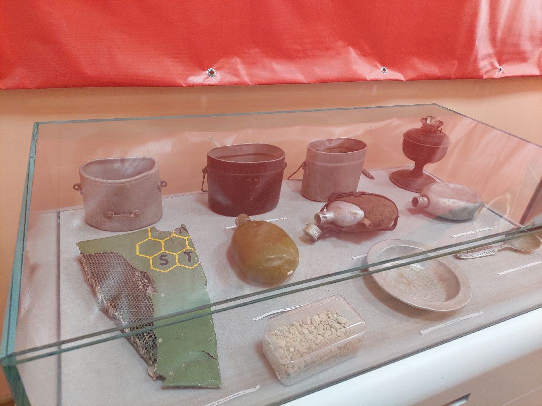 Воскресенск, урок мужества, образование