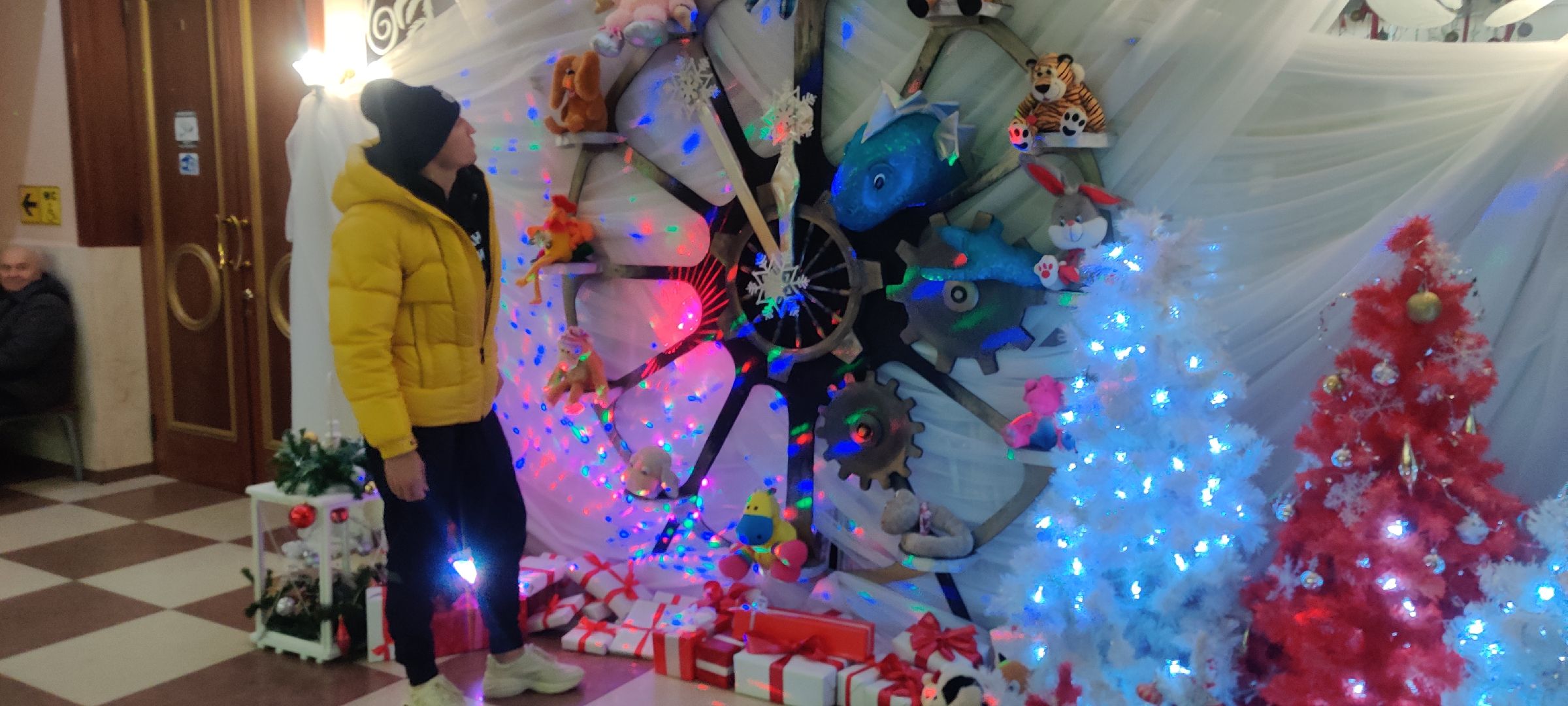 красноармейск, г.о. пушкинский, новогодние украшения, Александр Легков,