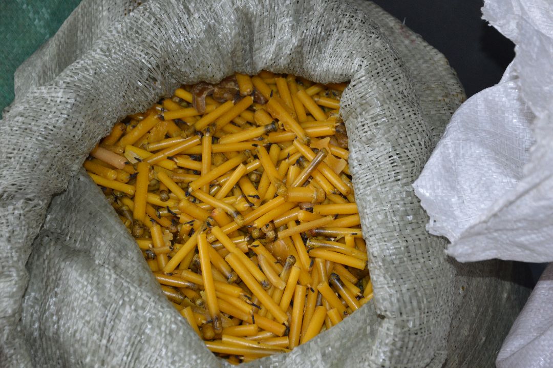 Шатура, волонтёры, СВО, Молодёжный совет, Сухой душ, спички, сеть