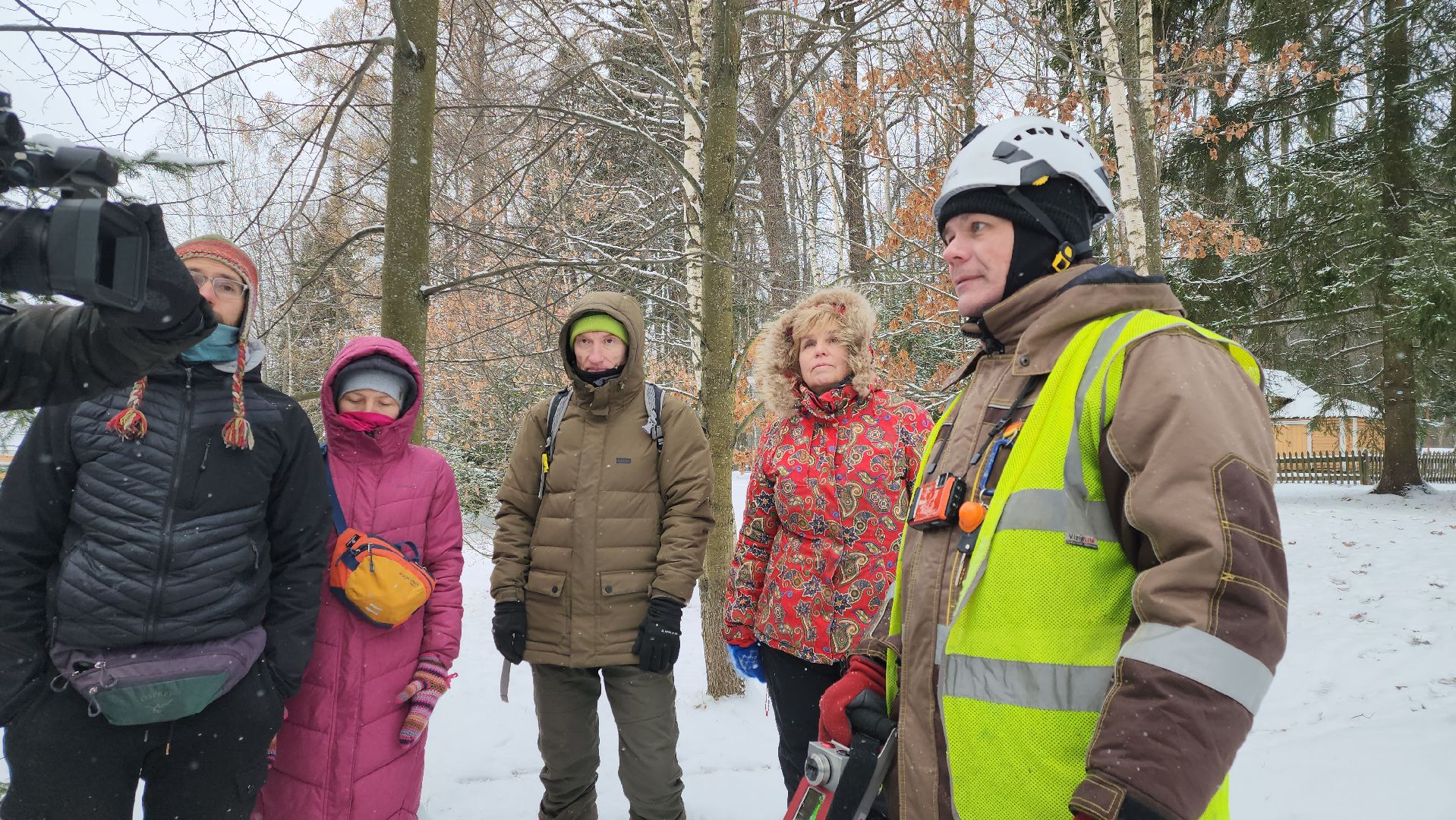 Пушкино, Мураново, экология, фестиваль арбористов, арбористика, Деревья, Попилка,