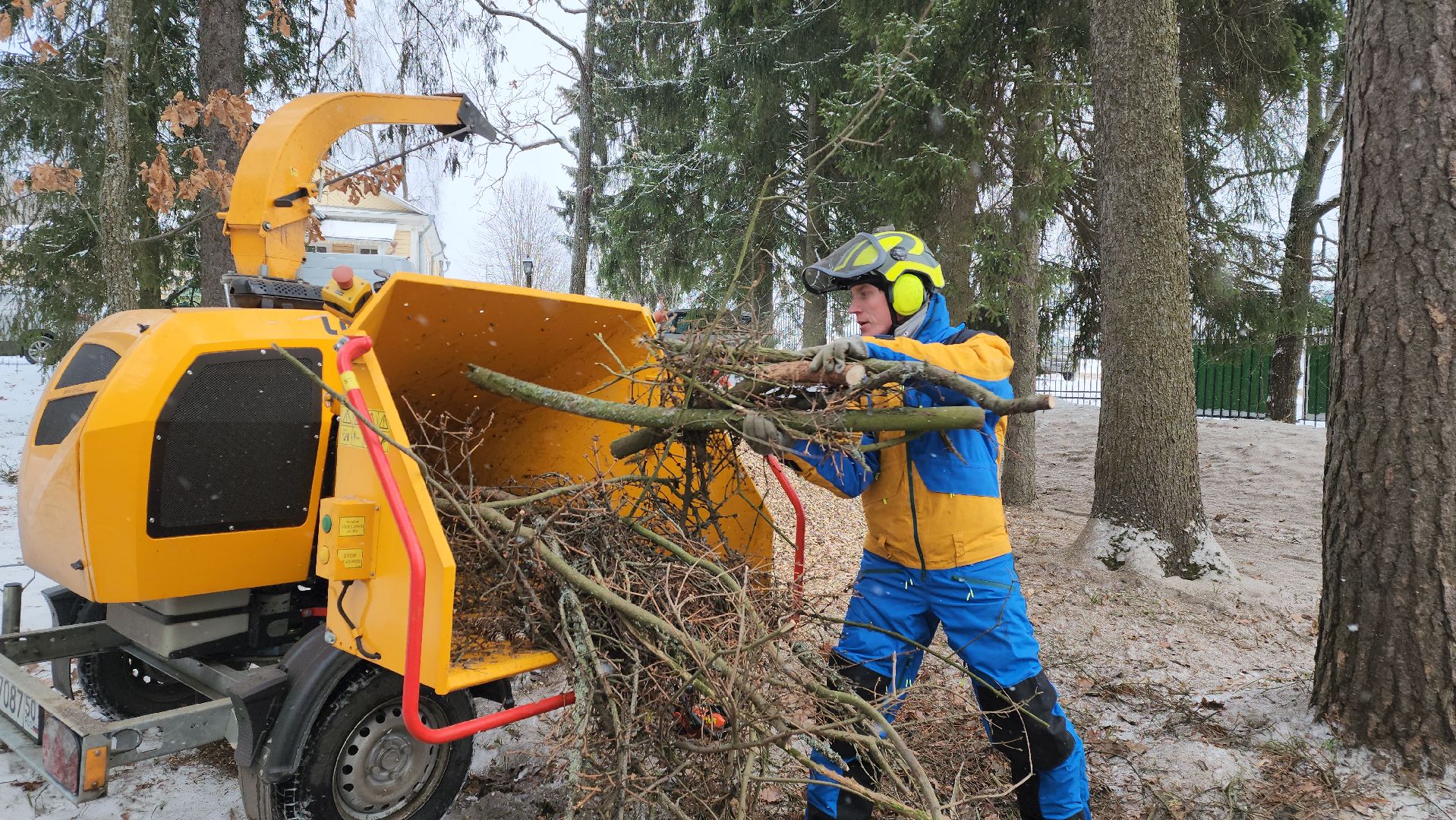 Пушкино, Мураново, экология, фестиваль арбористов, арбористика, Деревья, Попилка,