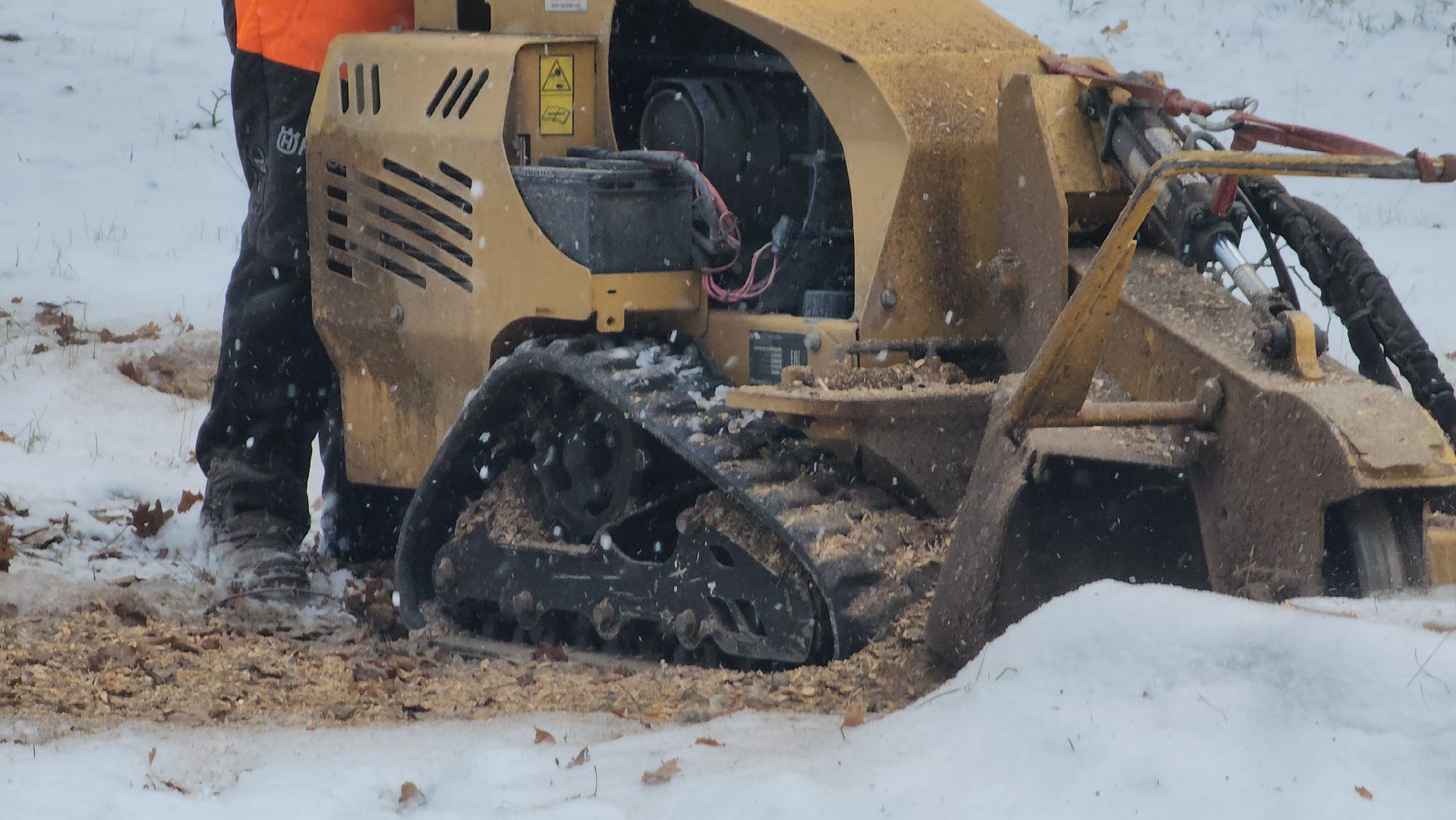 Пушкино, Мураново, экология, фестиваль арбористов, арбористика, Деревья, Попилка,