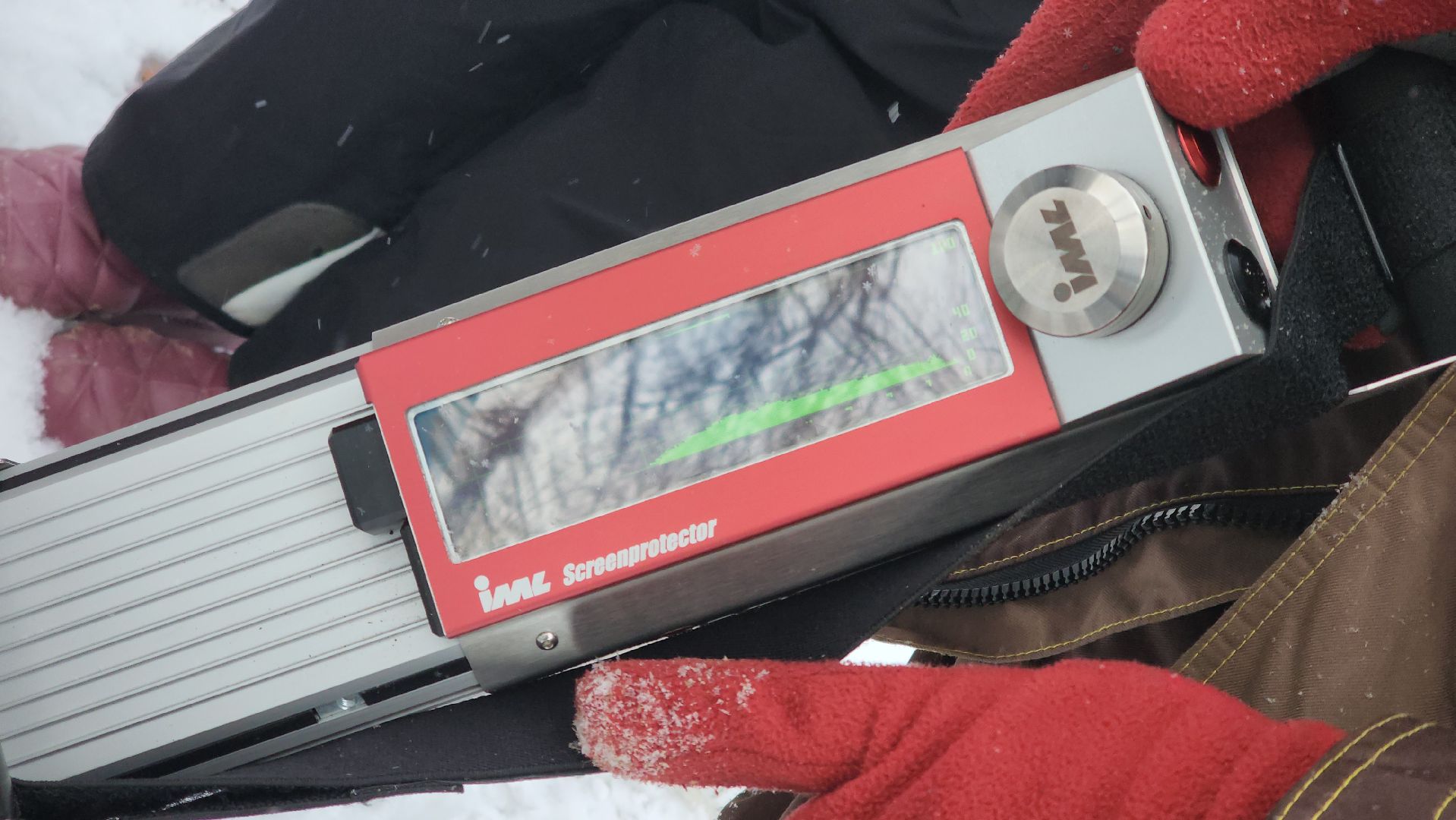 Пушкино, Мураново, экология, фестиваль арбористов, арбористика, Деревья, Попилка,