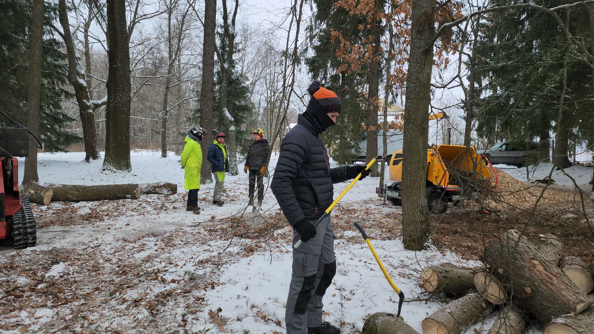 Пушкино, Мураново, экология, фестиваль арбористов, арбористика, Деревья, Попилка,