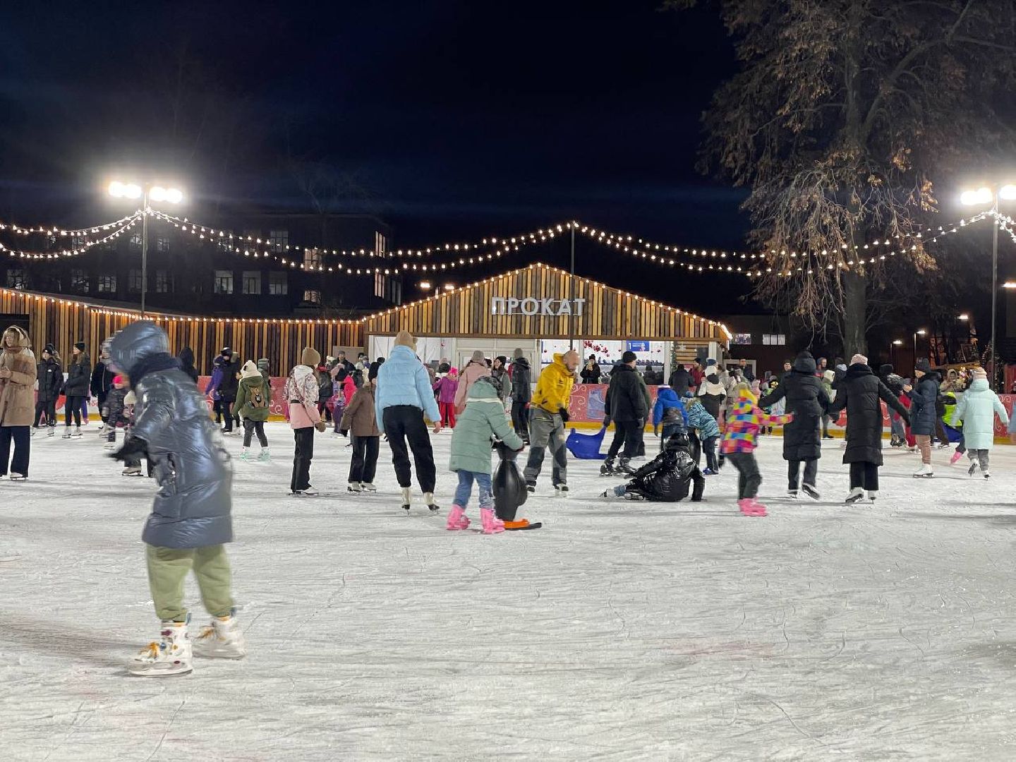 люберцы, Фигурное катание, Ледовый сезон,