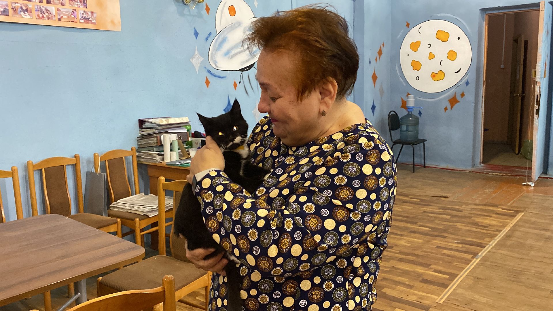 волоколамск, дом культуры, кошки, волонтер, доброе дело, дк, спасение животных, кошка,культура, культура подмосковья,