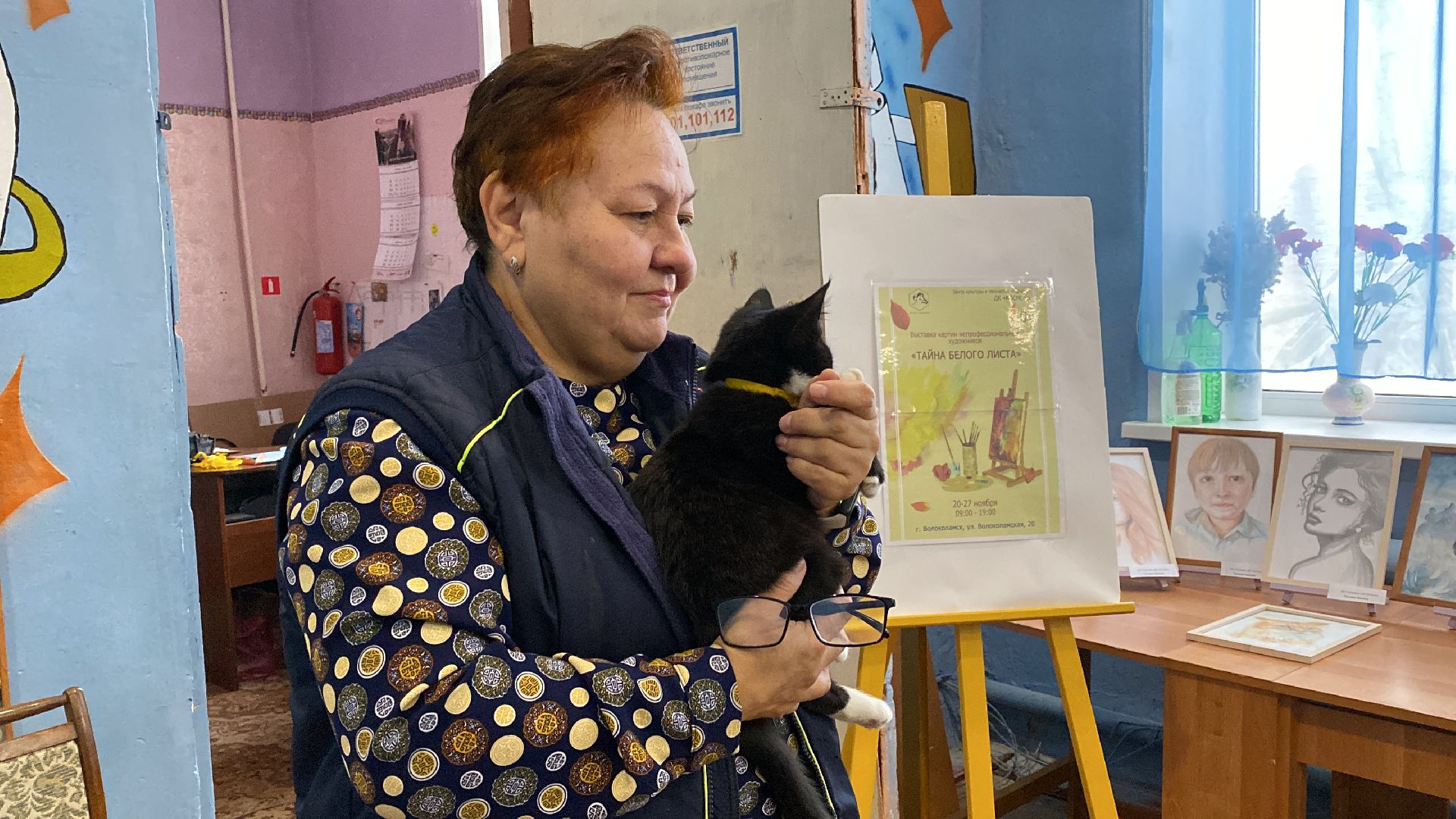 волоколамск, дом культуры, кошки, волонтер, доброе дело, дк, спасение животных, кошка,культура, культура подмосковья,