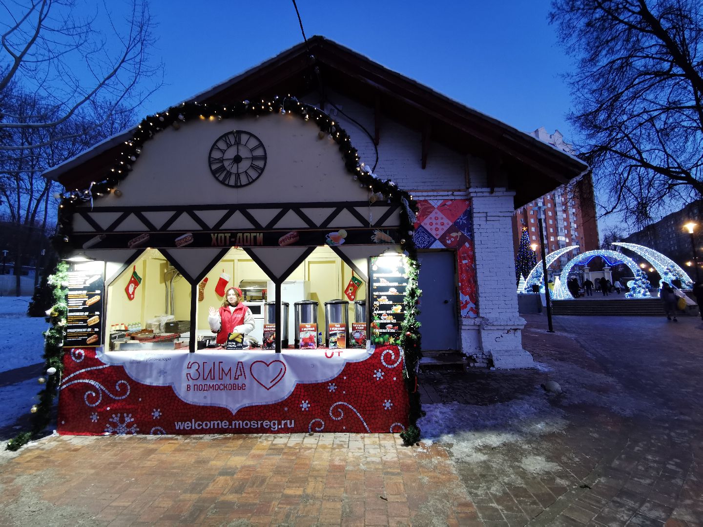 Подольск, ДедМороз, парк,