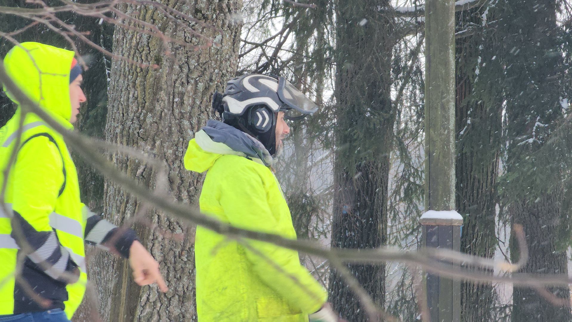 Арбористика, фестиваль арбористики, Пушкино, Городской округ Пушкинский, щёлково, экология, природа, Мураново, усадьба Мураново,