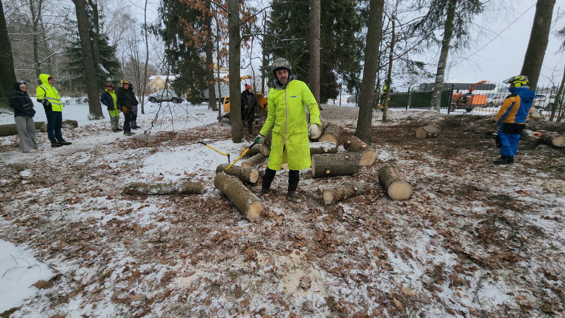 Арбористика, фестиваль арбористики, Пушкино, Городской округ Пушкинский, щёлково, экология, природа, Мураново, усадьба Мураново,