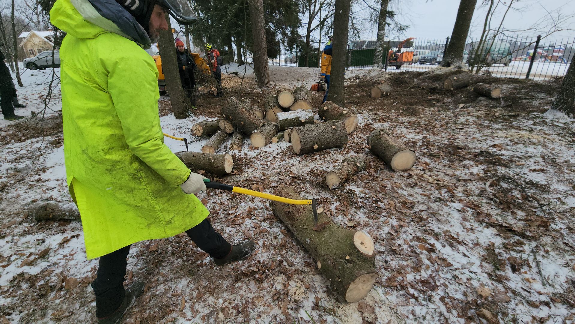 Арбористика, фестиваль арбористики, Пушкино, Городской округ Пушкинский, щёлково, экология, природа, Мураново, усадьба Мураново,