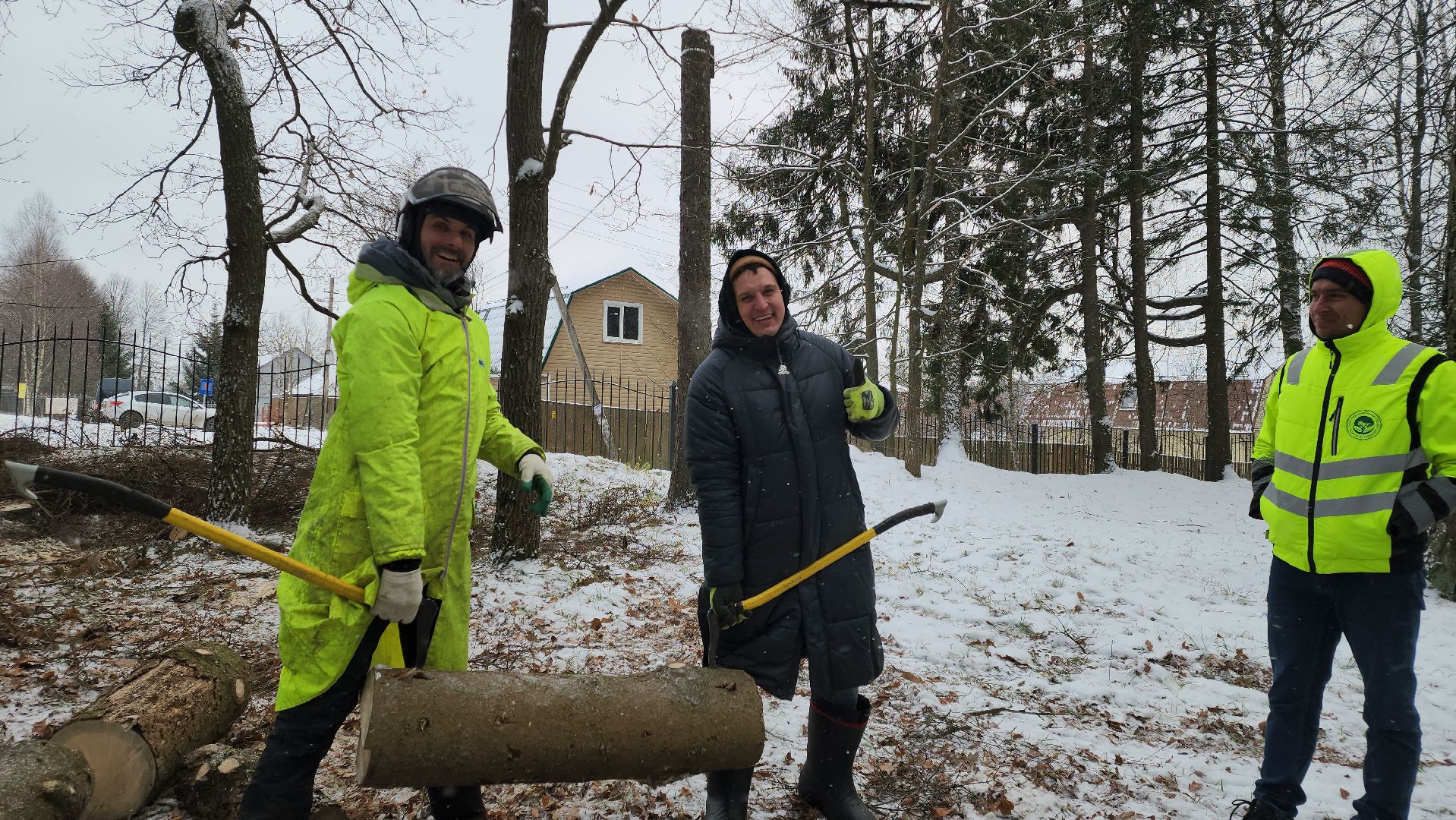 Арбористика, фестиваль арбористики, Пушкино, Городской округ Пушкинский, щёлково, экология, природа, Мураново, усадьба Мураново,
