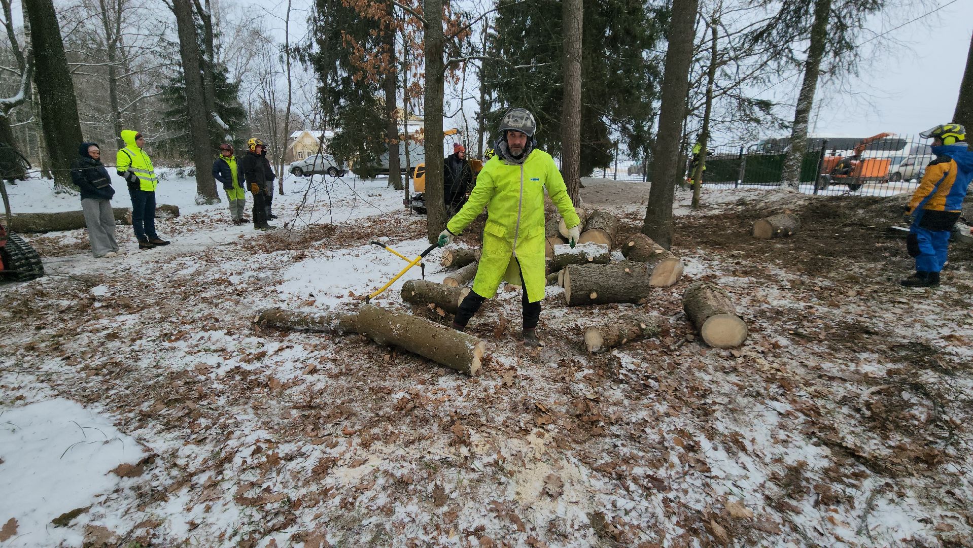 Арбористика, фестиваль арбористики, Пушкино, Городской округ Пушкинский, щёлково, экология, природа, Мураново, усадьба Мураново,