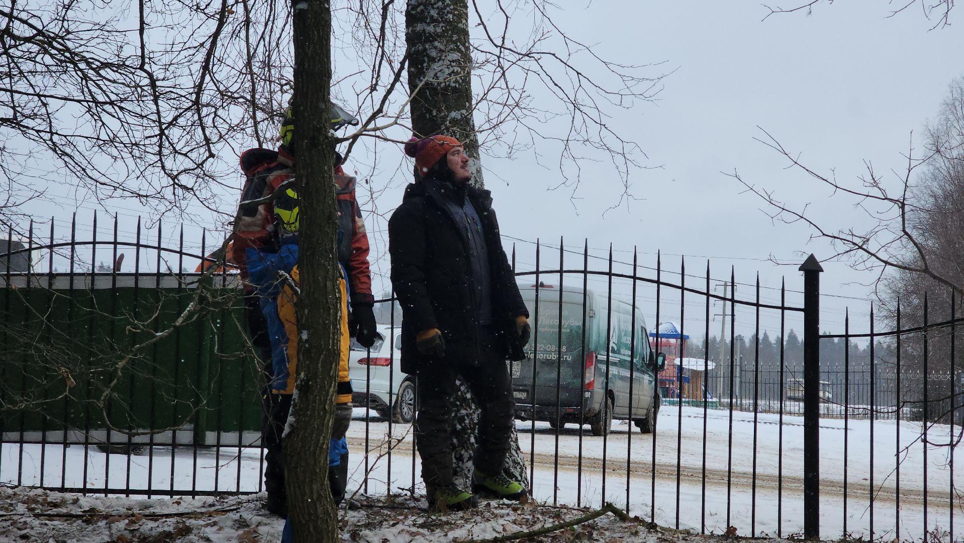 Арбористика, фестиваль арбористики, Пушкино, Городской округ Пушкинский, щёлково, экология, природа, Мураново, усадьба Мураново,
