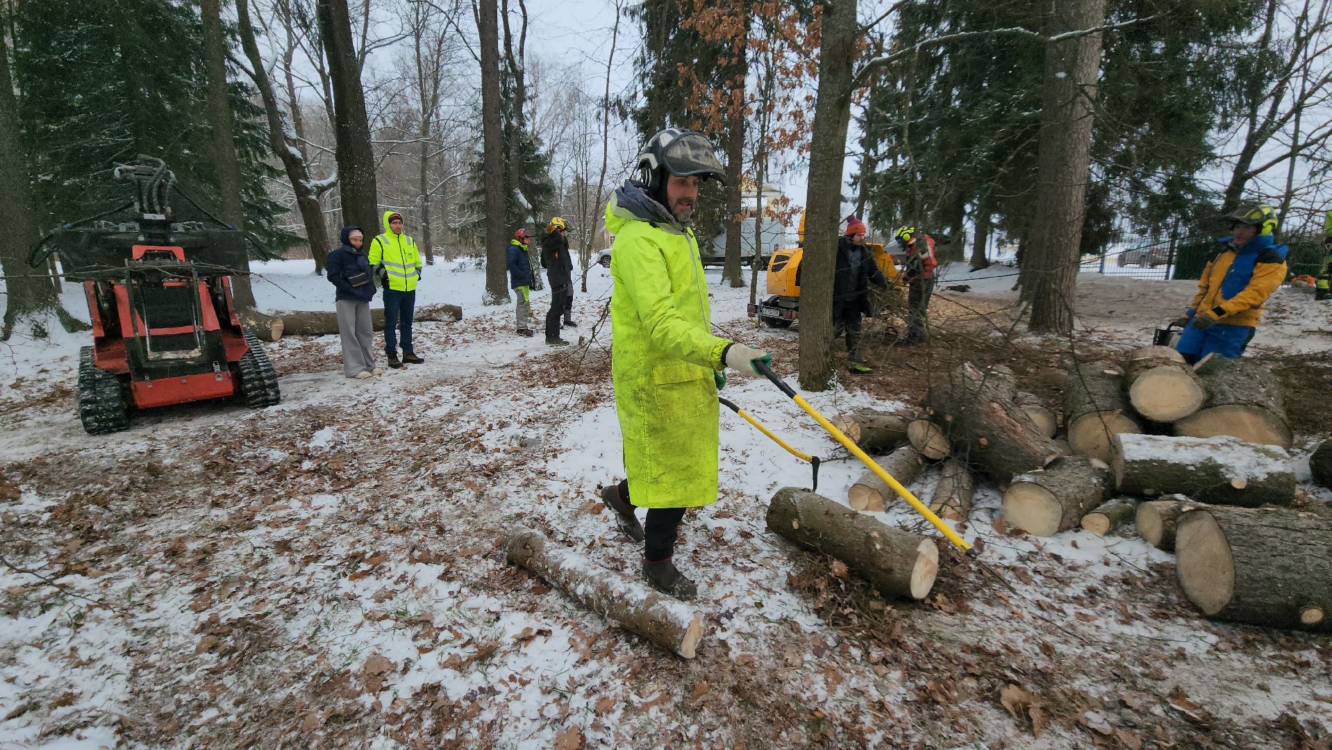 Арбористика, фестиваль арбористики, Пушкино, Городской округ Пушкинский, щёлково, экология, природа, Мураново, усадьба Мураново,