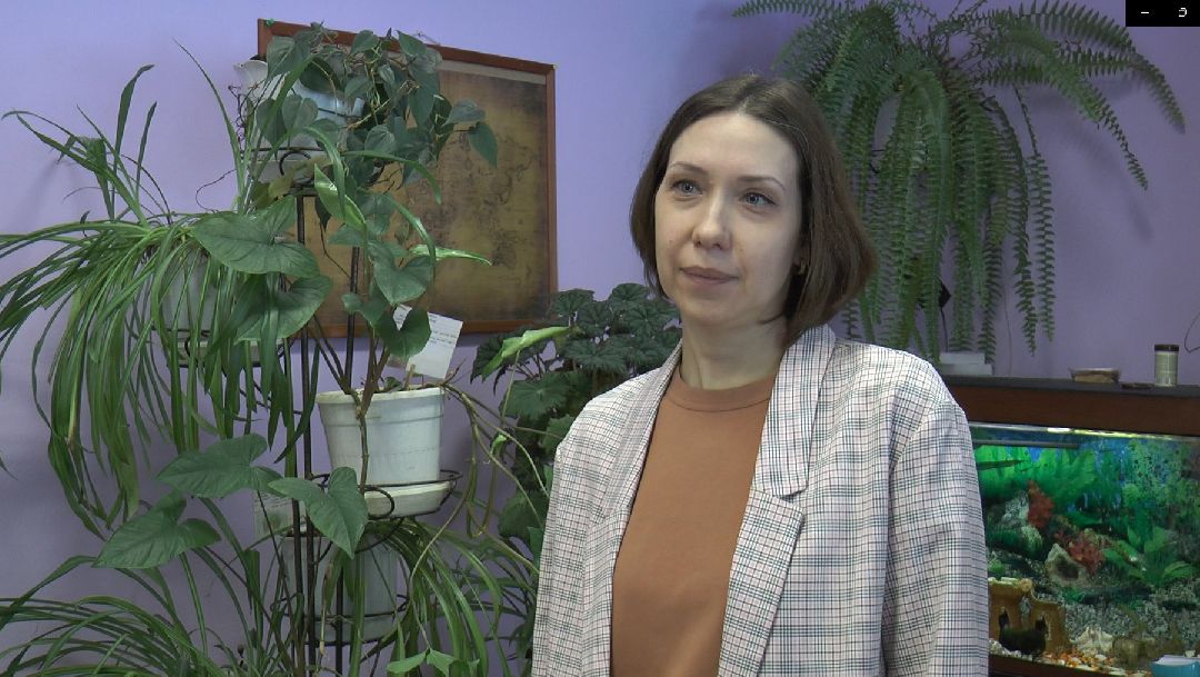 Дмитров, образование