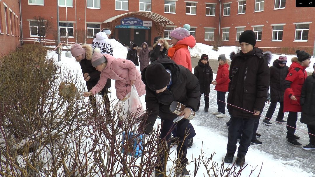 Дмитров, образование