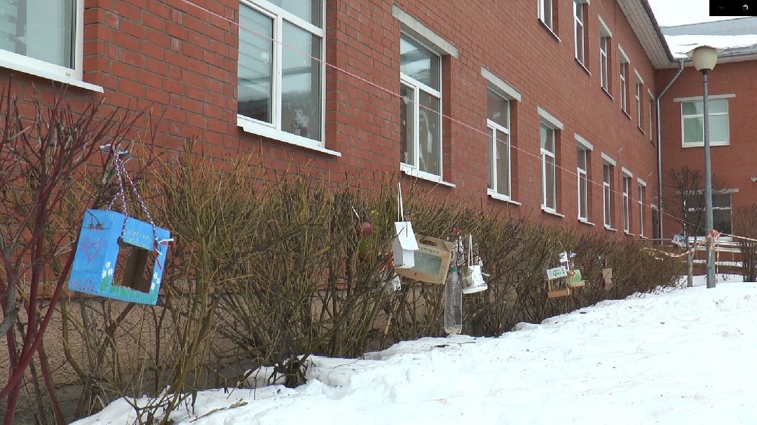 Дмитров, образование