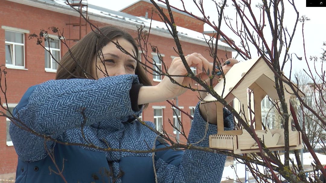 Дмитров, образование