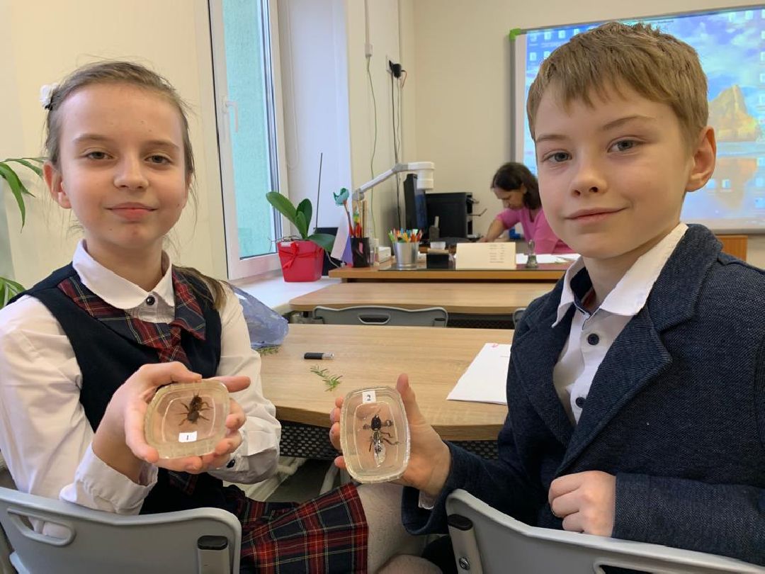 Жуковский, образование