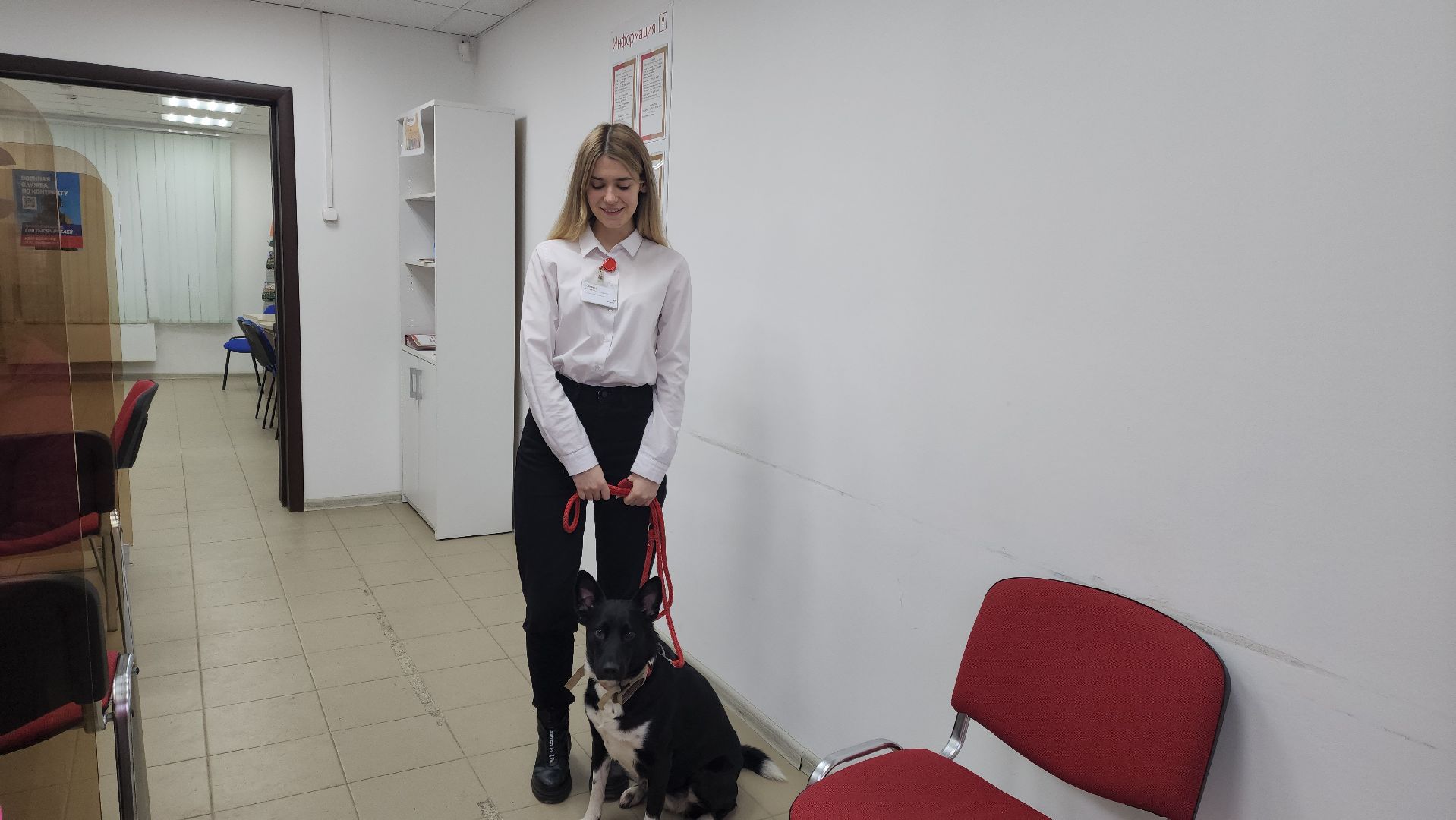 Подольск, Реестр домашних животных, Собака, Питомцы, чипирование, МФЦ,