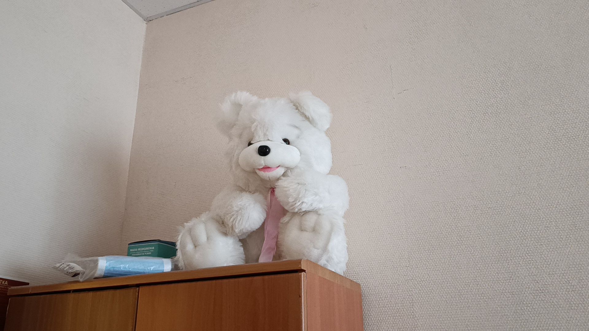 полиция, лобня, дети,