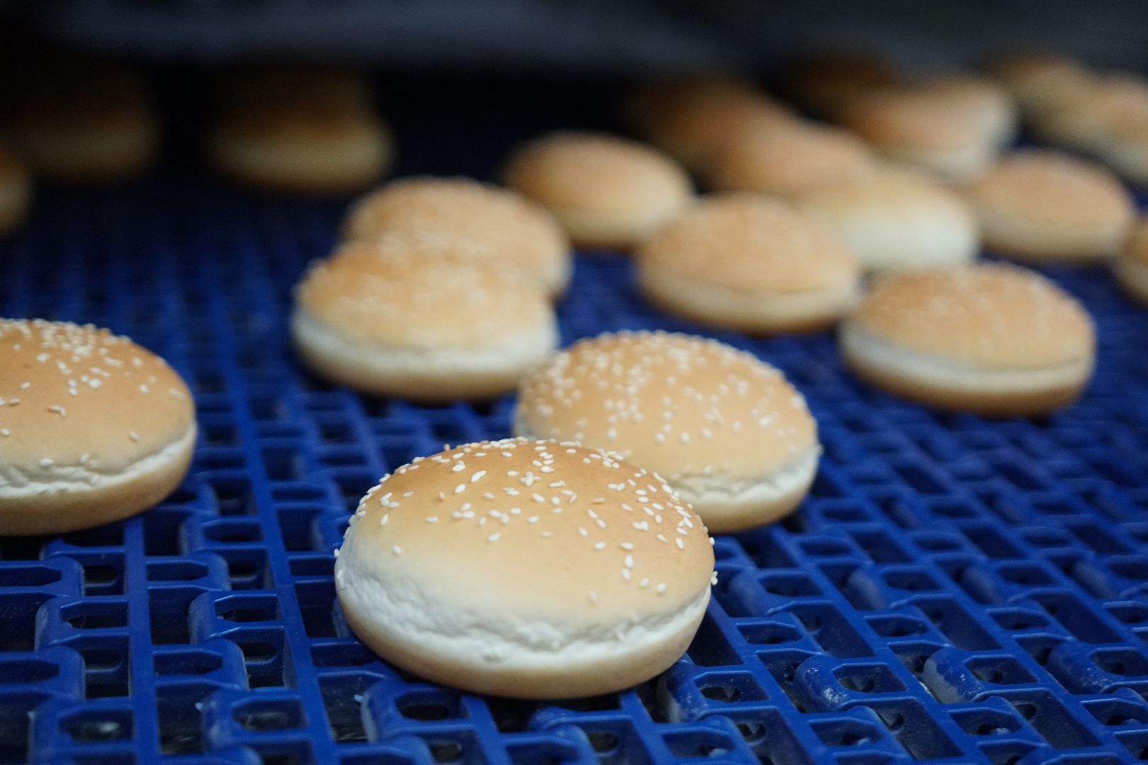 Егорьевск, бизнес, булочки, багеты, бургеры, хот-дог,