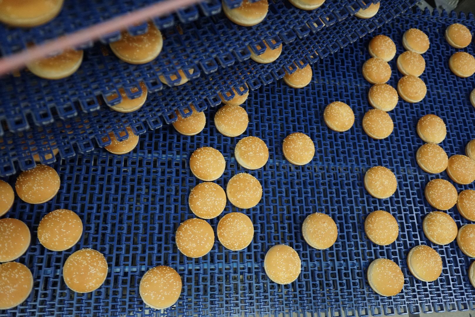 Егорьевск, бизнес, булочки, багеты, бургеры, хот-дог,