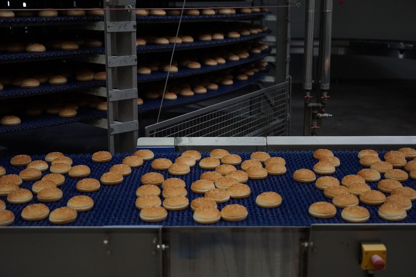 Егорьевск, бизнес, булочки, багеты, бургеры, хот-дог,