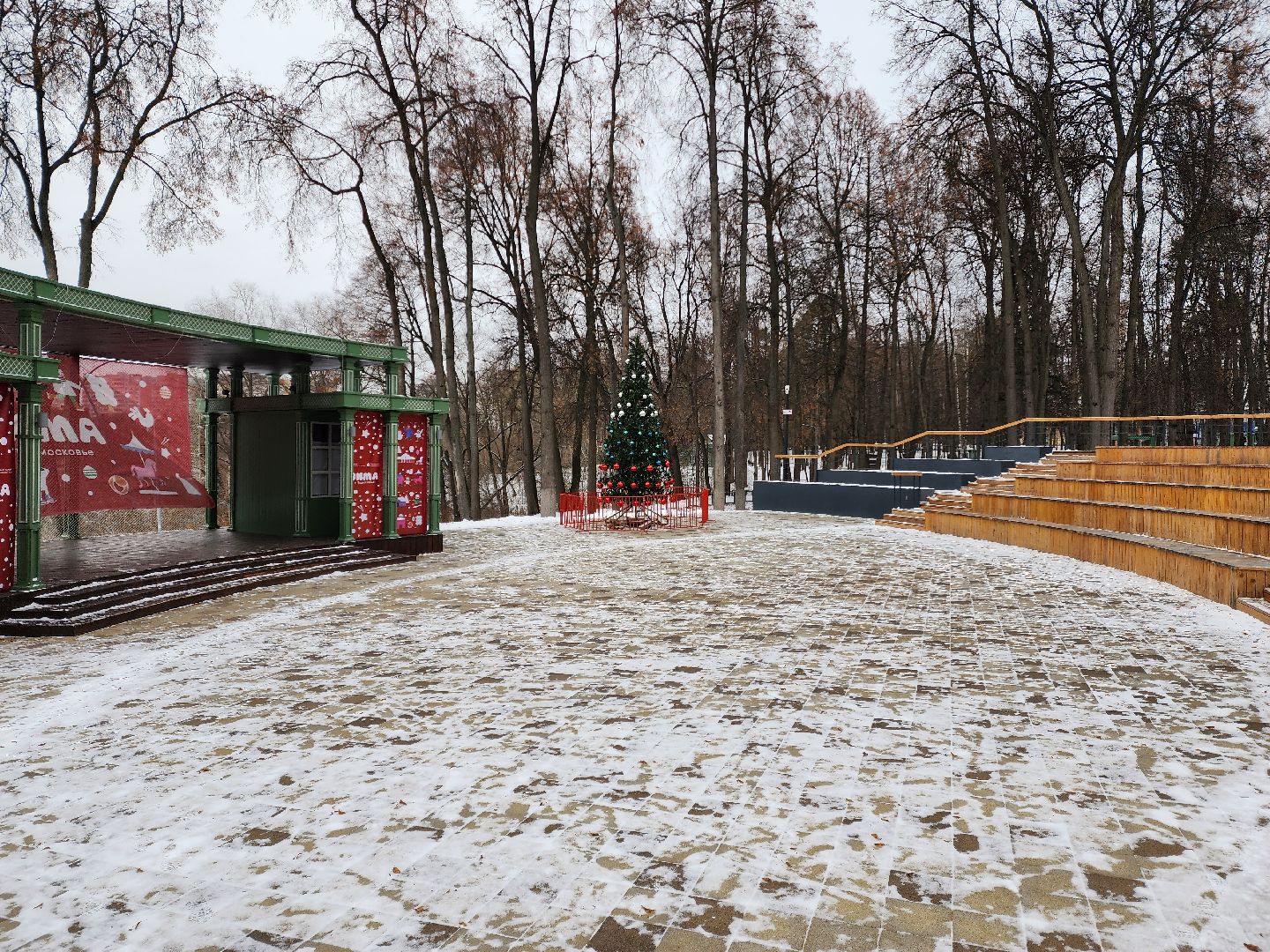 Раменское, благоустройство, раменский городской парк, новогодняя ель,