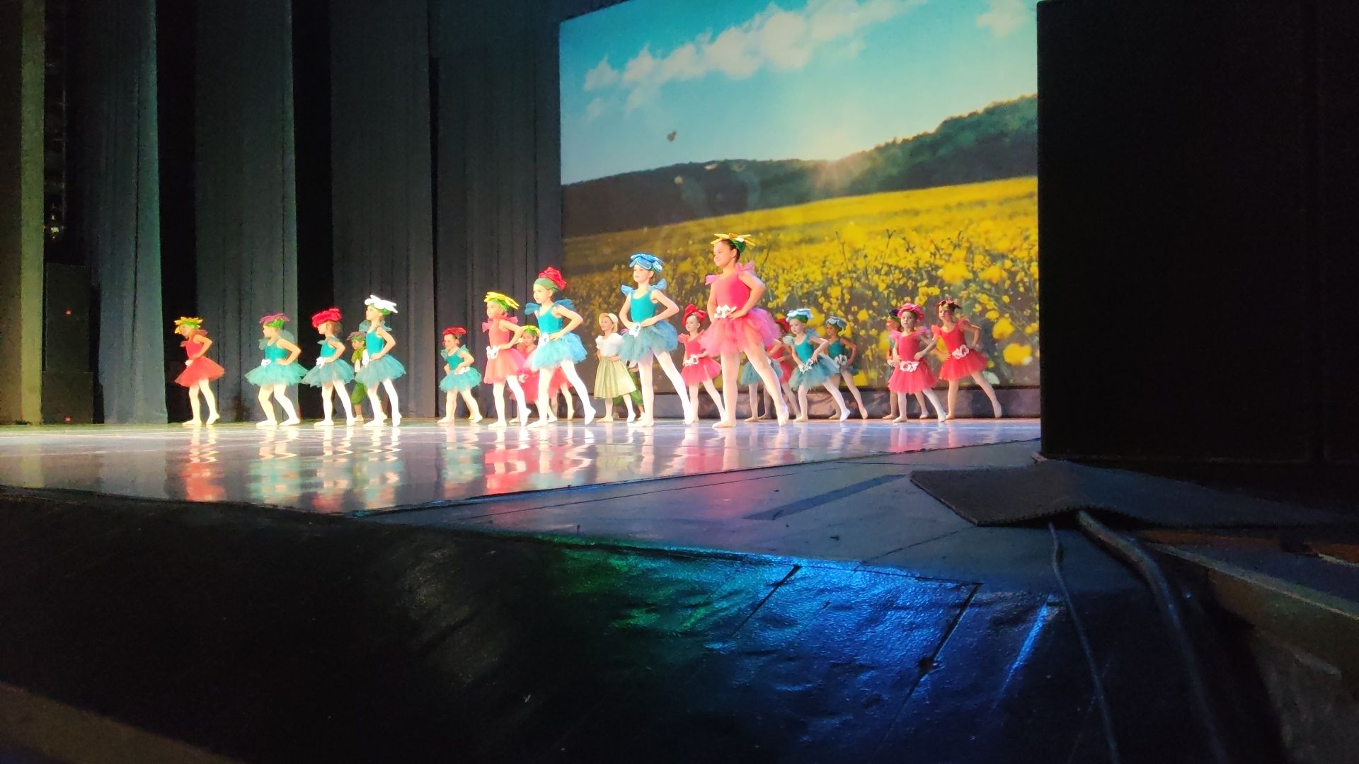 красногорск, день матери, концерт,