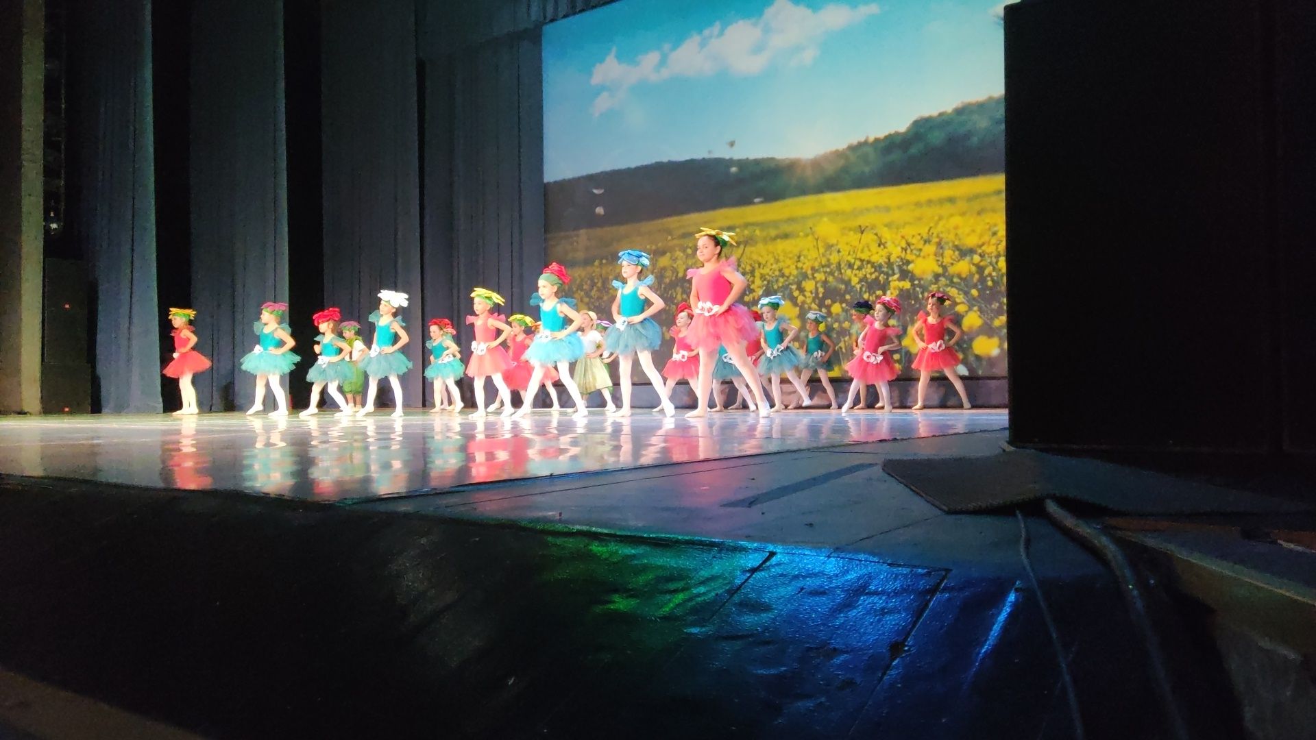 красногорск, день матери, концерт,