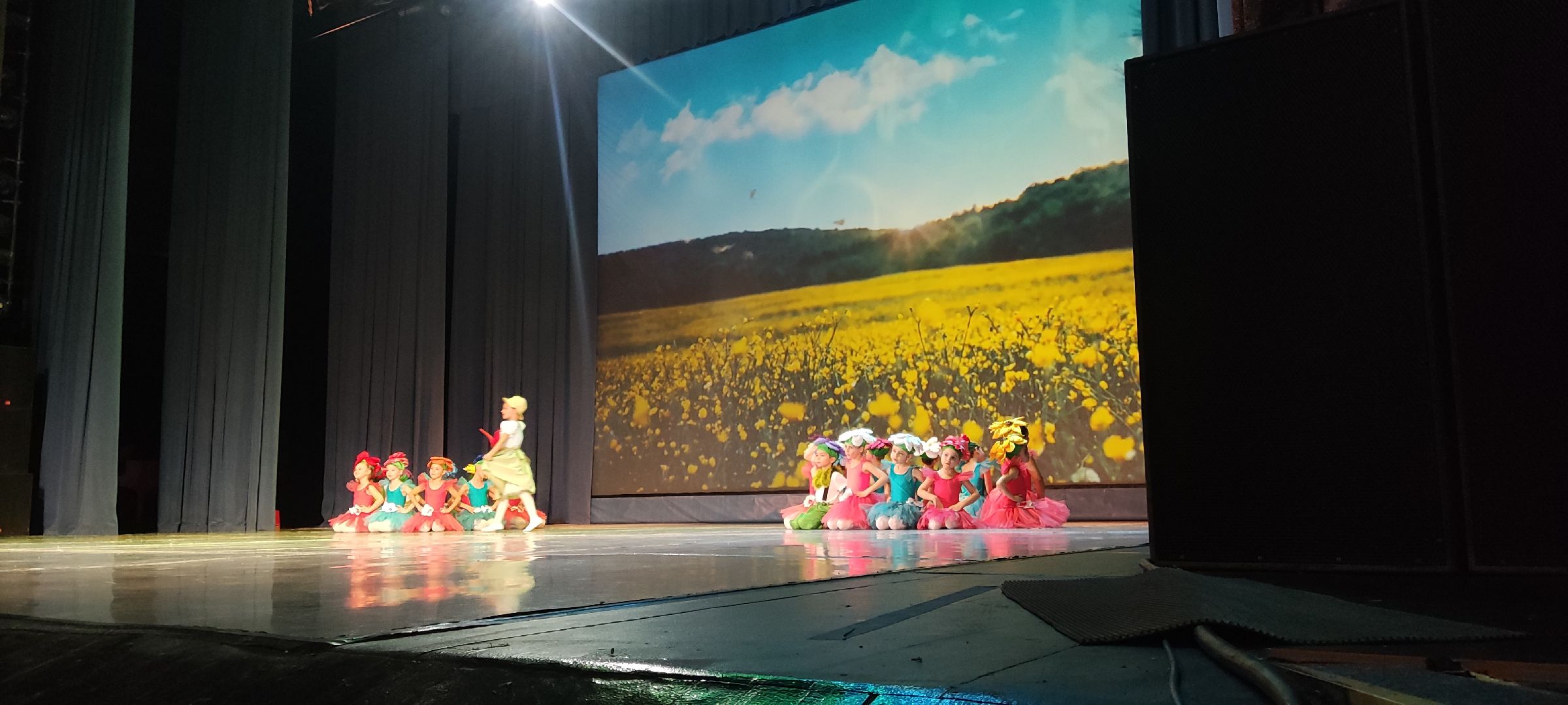 красногорск, день матери, концерт,