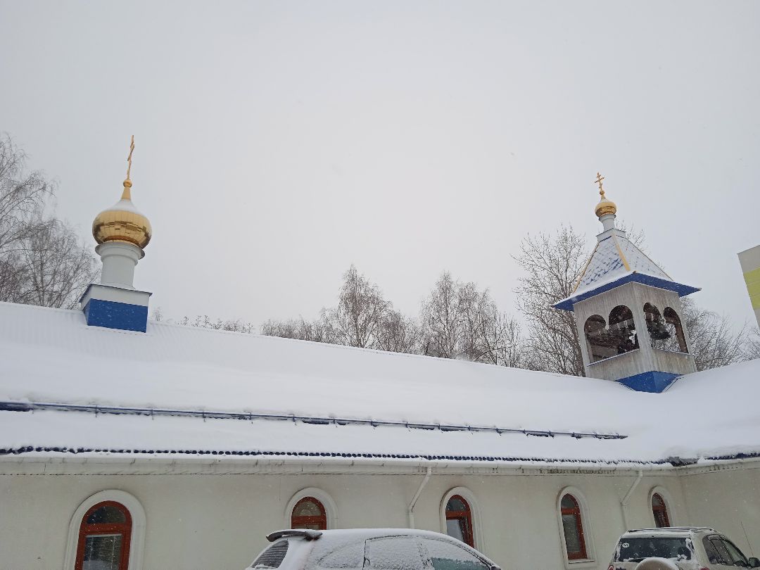 Жуковский, общество