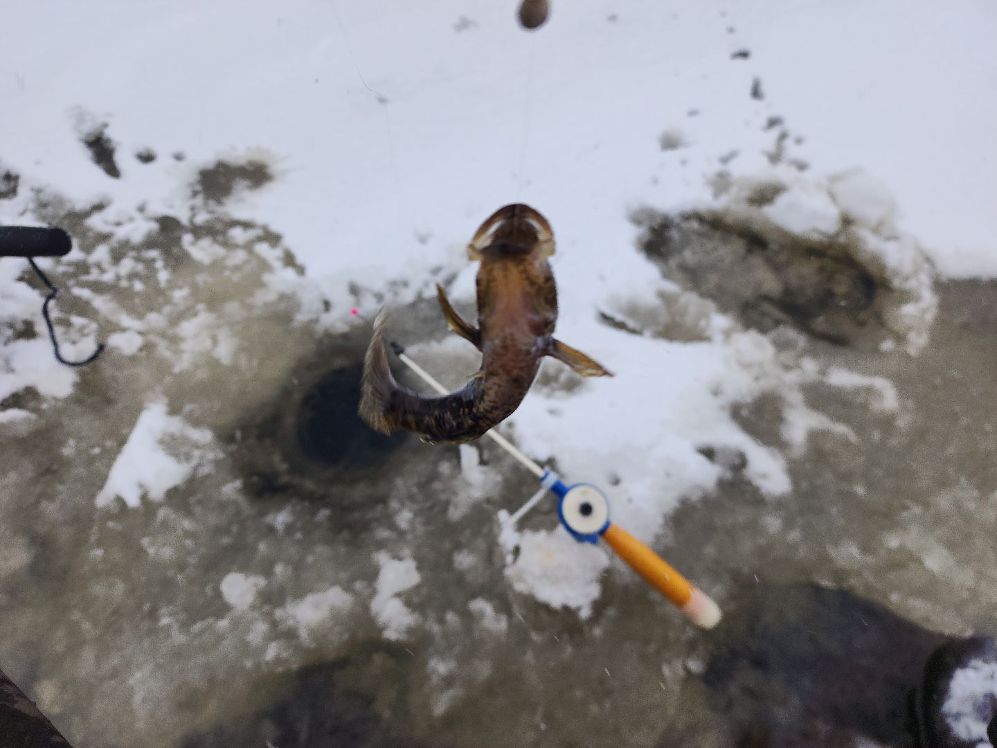 шатура, карьеры, первй лед, рыбалка, зимняя рыбалка, первая,