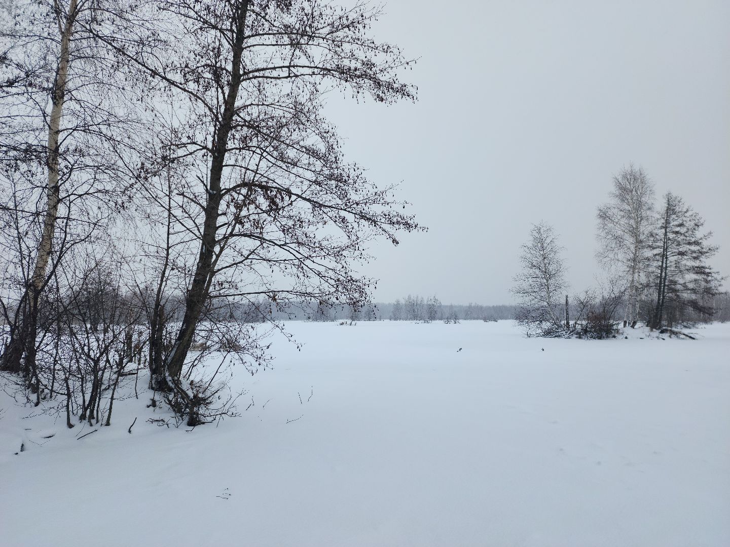 шатура, карьеры, первй лед, рыбалка, зимняя рыбалка, первая,