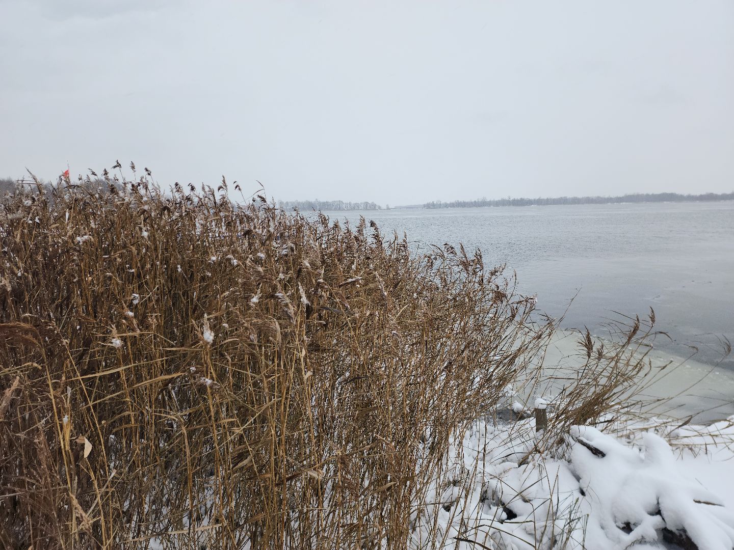 шатура, карьеры, первй лед, рыбалка, зимняя рыбалка, первая,