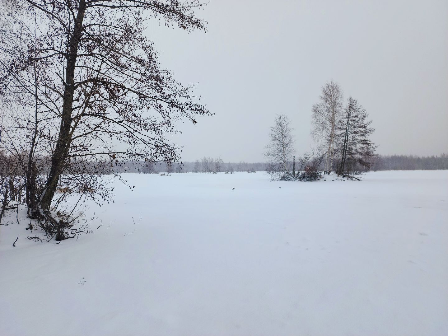 шатура, карьеры, первй лед, рыбалка, зимняя рыбалка, первая,