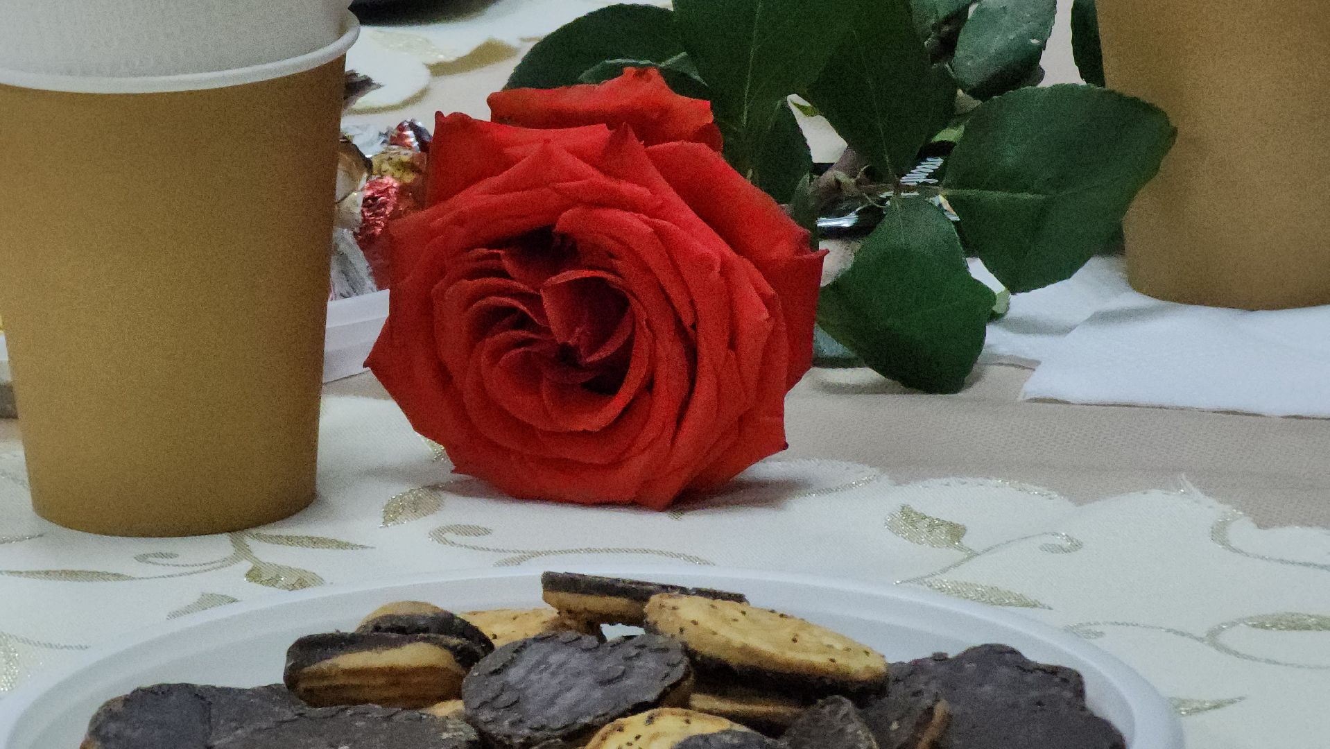 активное долголетие, сво, день матери, руза, рузский городской округ, праздник, московская область, подмосковье,