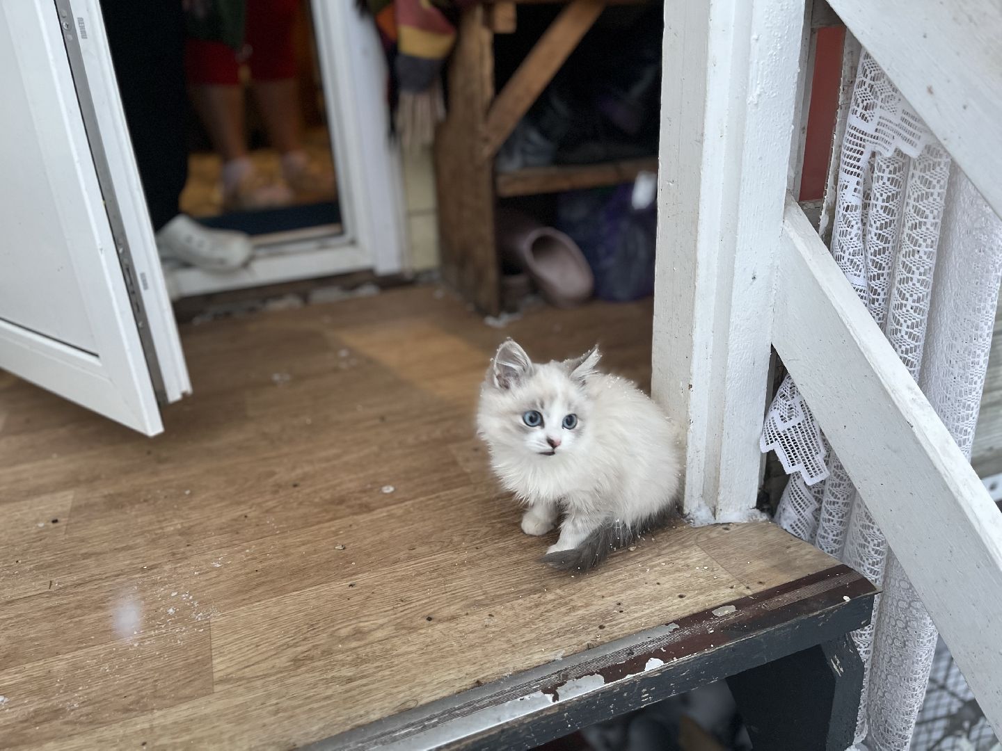 шаховская, дети, многодетная мама, многодетная семья,