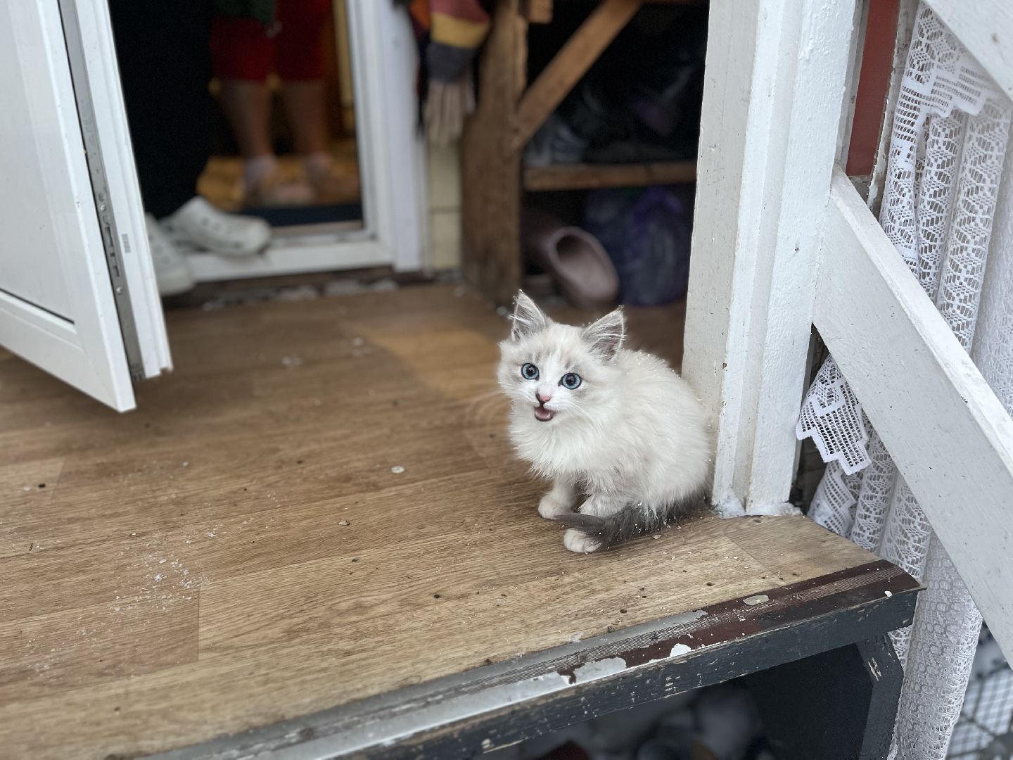 шаховская, дети, многодетная мама, многодетная семья,