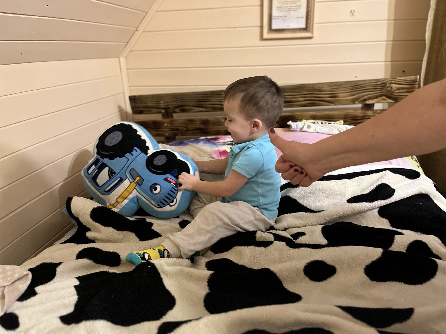 шаховская, дети, многодетная мама, многодетная семья,