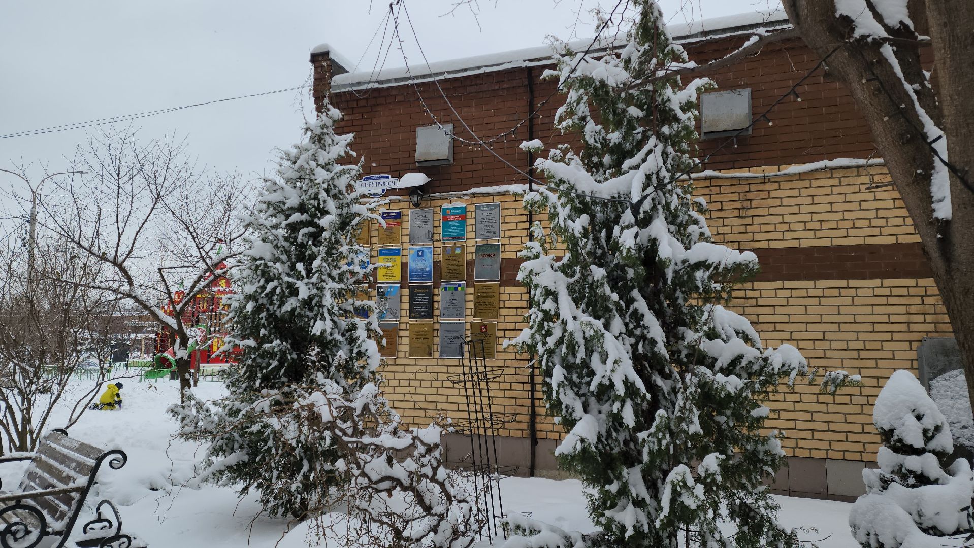 Сад камней, Подольск, мы вместе, мывместе, Премия, региональный этап,