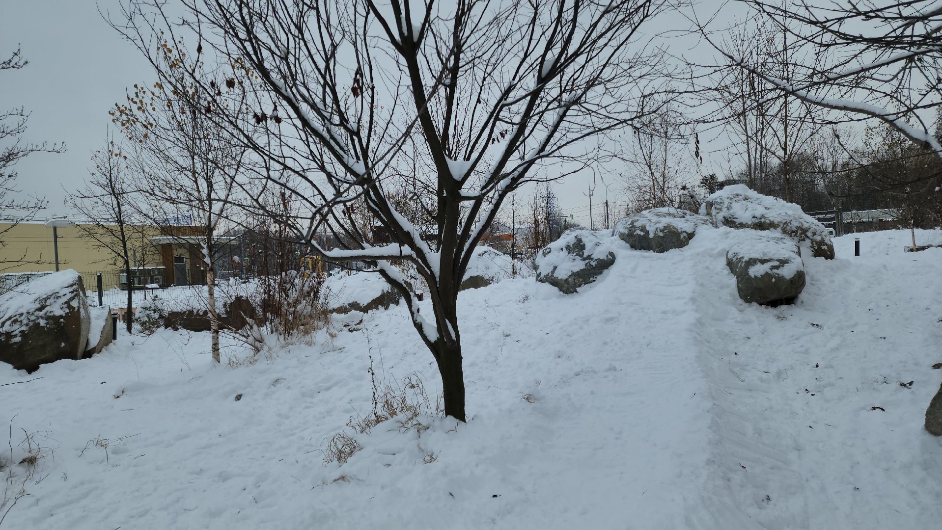 Сад камней, Подольск, мы вместе, мывместе, Премия, региональный этап,