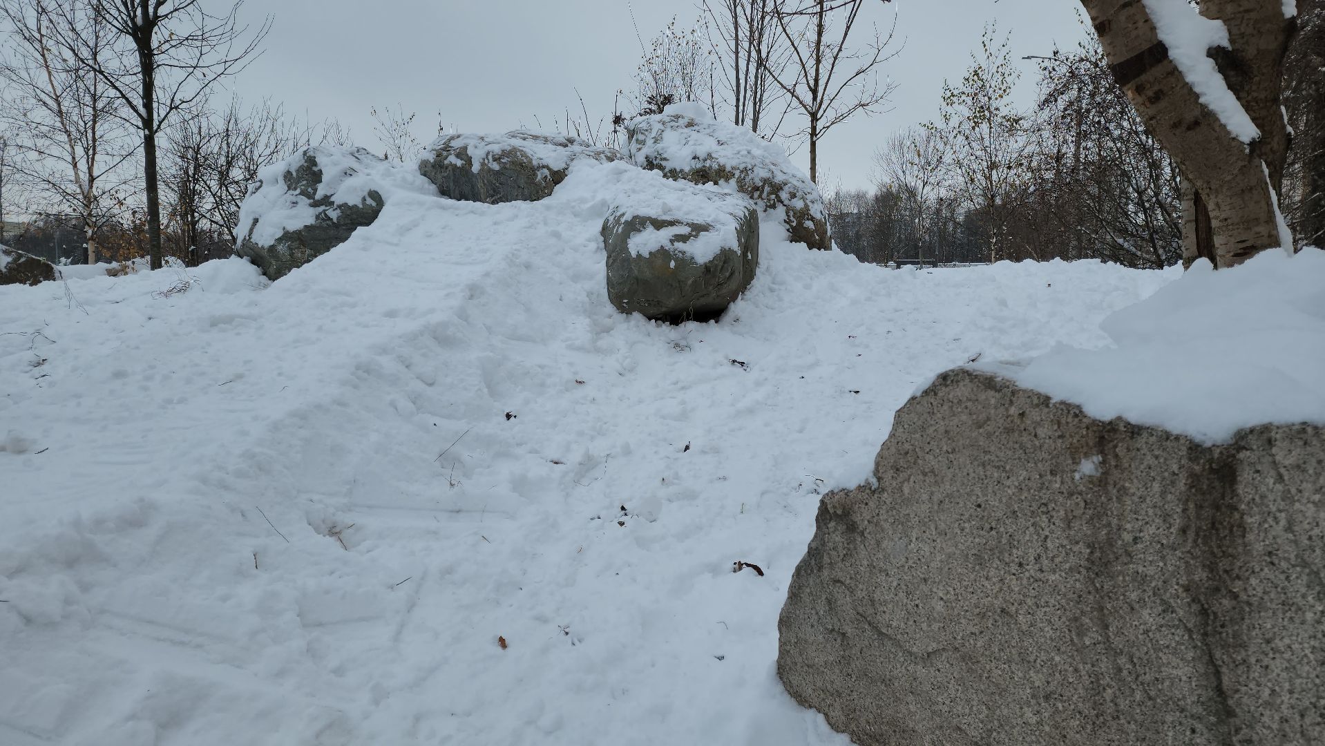 Сад камней, Подольск, мы вместе, мывместе, Премия, региональный этап,